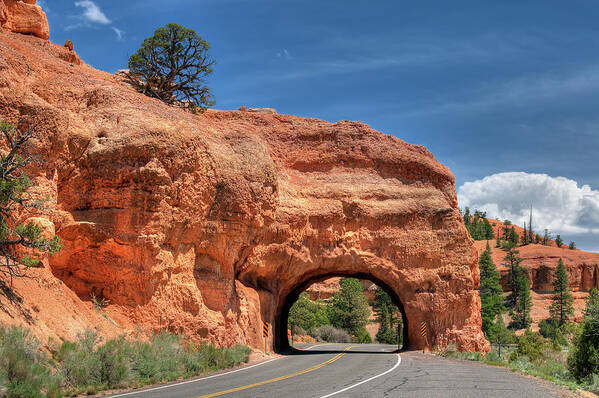 Red Canyon Poster featuring the photograph Red Canyon National Park Utah Road Tunnel #1 by Jim Vallee