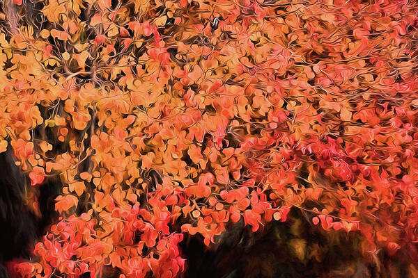 Autumn Color Poster featuring the digital art Autumn Abstract 1 by JC Findley