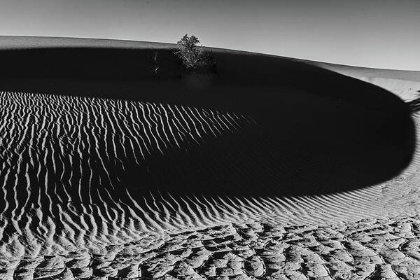 California Poster featuring the photograph Death Valley - Contrast No. 9 by Peter Tellone