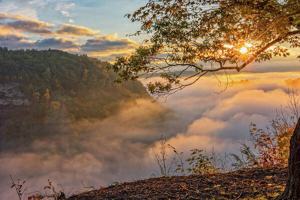 Sunrise Poster featuring the photograph Early Morning Sunrise At Letchworth State Par by Jim Vallee