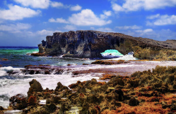 Cozumel Poster featuring the photograph El Mirador Natural Bridge Rock Arch East Coast of Cozumel Mexico by Peter Herman