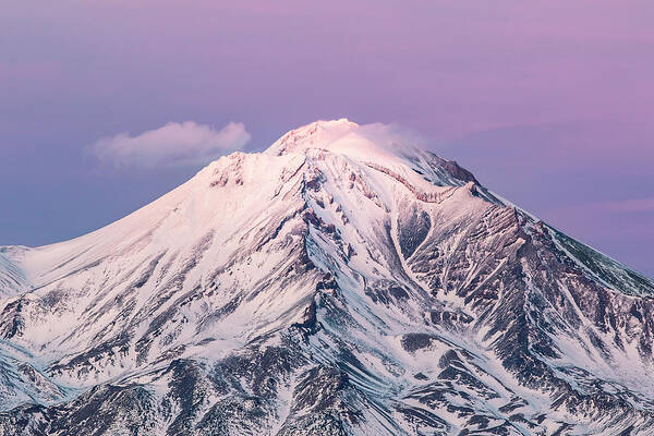 California Poster featuring the photograph Mt. Shasta Pretty N Pink by Gary Geddes