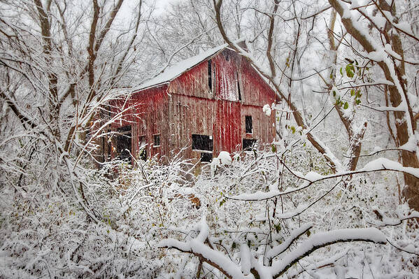 Barn Poster featuring the photograph Nestled in for Winter - Old abandoned barn amidst trees in snowstorm by Peter Herman