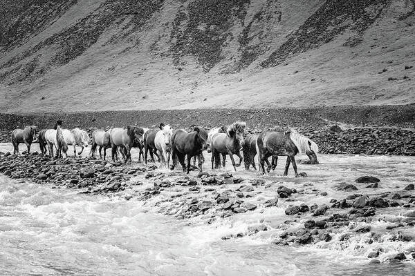 Photographs Poster featuring the photograph Keep Moving Forwards II by Lisa Saint