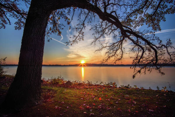 Oak Lake Lake Waubesa Wi Wisconsin Fishing Sunrise Fall Poster featuring the photograph Reaching Out - oak tree reaching over Lake Waubesa in autumn sunset by Peter Herman
