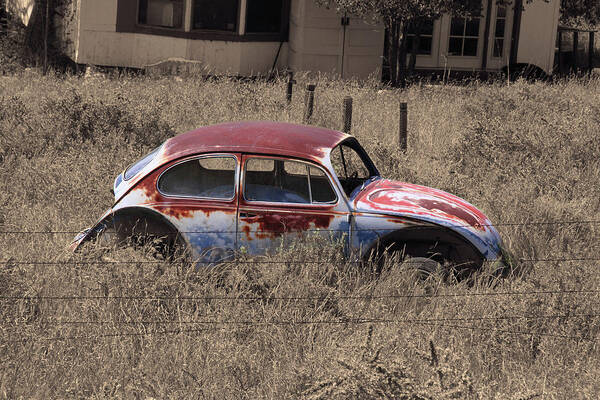 Vw Poster featuring the photograph Rust in Peace 1A by Sally Fuller