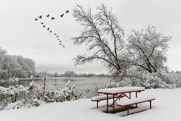 Yahara Poster featuring the photograph The Picnic is Over, Let's Head South - red snow covered picnic table and geese at Yahara river WI by Peter Herman