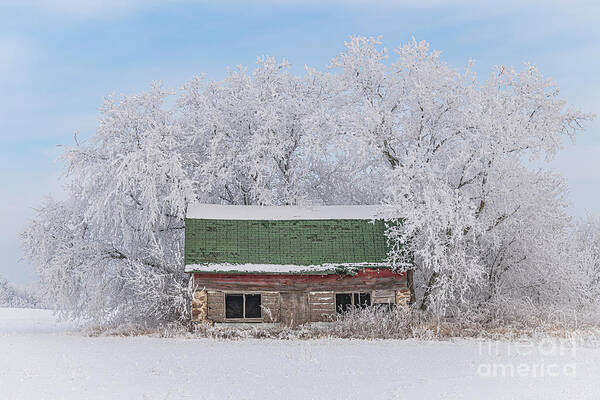 Winter Poster featuring the photograph Wintry Wisconsin by Amfmgirl Photography