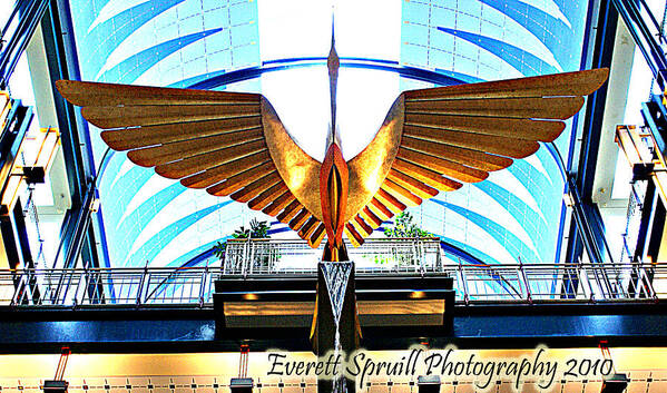 Everett Spruill Poster featuring the photograph Bird in the Building by Everett Spruill