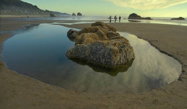 Landscape Poster featuring the photograph Tidepool Monolith by Arthur Fix