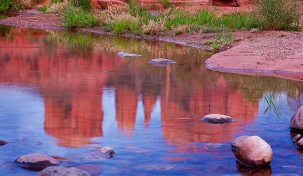 Red Rocks Poster featuring the photograph Cathedral Rock Reflection Pastel by Bob Coates