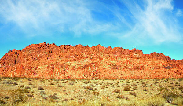 Frank Wilson Poster featuring the photograph Desert Valley Of Fire by Frank Wilson