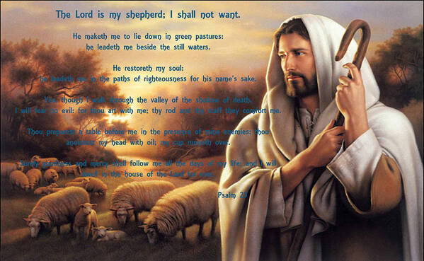 Psalm 23 Poster featuring the photograph Psalm 23 by Sylvia Thornton