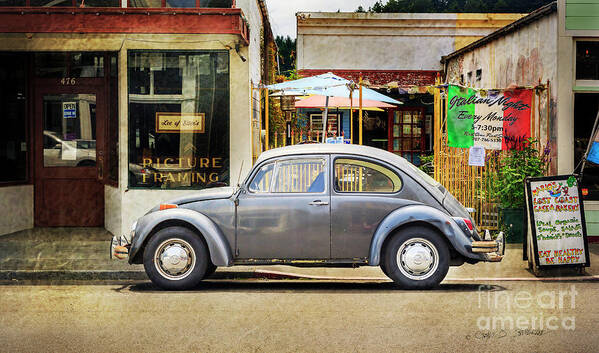 Tranquility Poster featuring the photograph The Grey Beetle by Craig J Satterlee