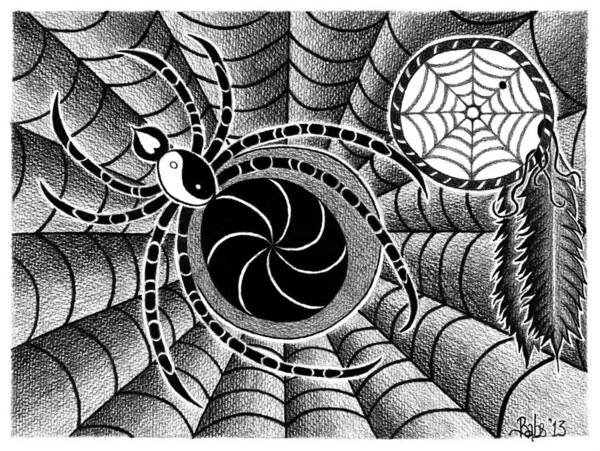 Spider Poster featuring the drawing Dreamweaver by Barb Cote