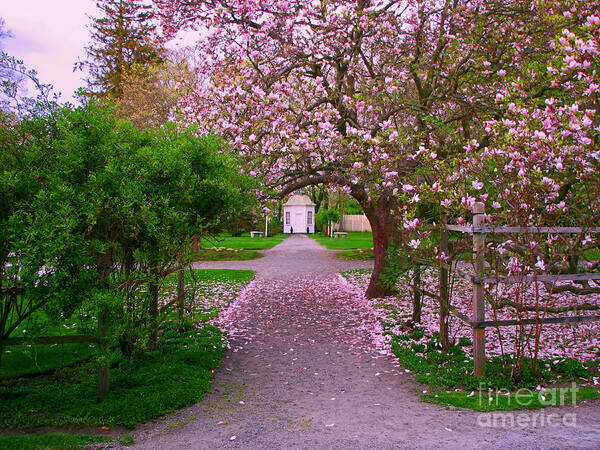 New England Scene Poster featuring the photograph Linden Place Bristol RI by Tom Prendergast