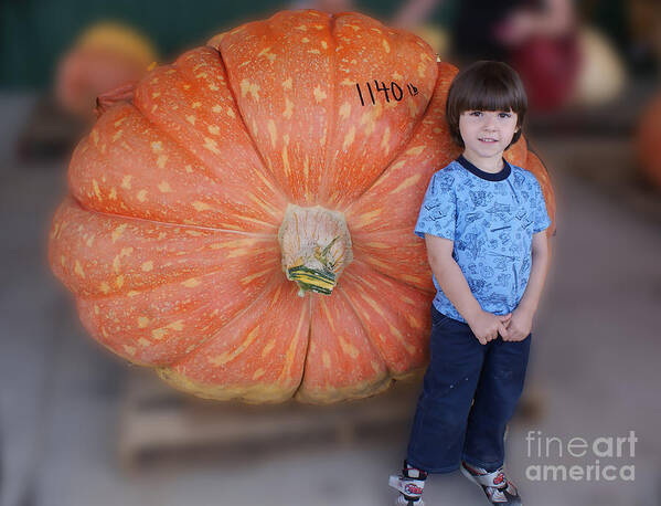 Pumpkin Poster featuring the photograph Little Boy Big Pumpkin by M Three Photos