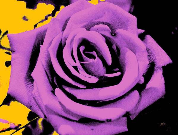 Rose Poster featuring the photograph Alchemy Rose by Lessandra Grimley