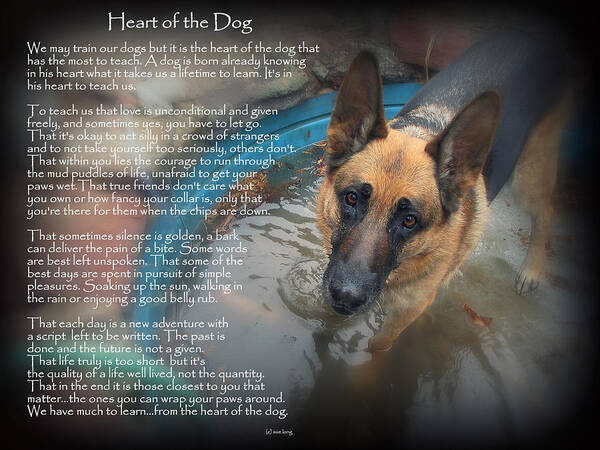 Quote Poster featuring the photograph Custom Paw Print Maxx Heart of the Dog by Sue Long