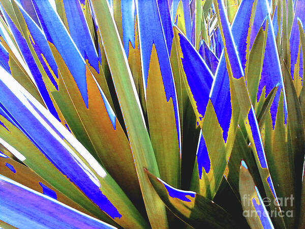 Plant Poster featuring the photograph Plant Burst - Blue by Rebecca Harman