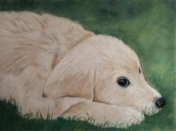 Dog Poster featuring the pastel It Wasn't Me by Carol Corliss