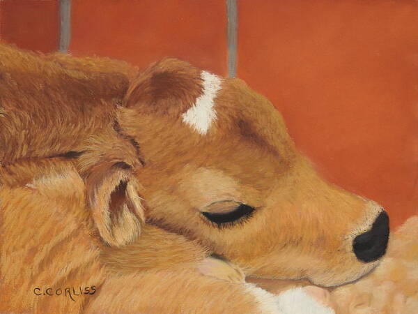 Calf Poster featuring the pastel Three Hours Old by Carol Corliss