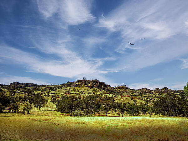 Canyon Poster featuring the photograph Bidwell Park by Frank Wilson