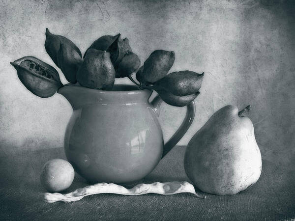 Pitcher Poster featuring the photograph Pitcher Pods and a Pear by Sandra Selle Rodriguez