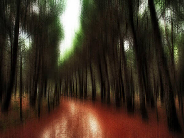 Woodland Poster featuring the photograph Autumn path 2 by Al Fio Bonina
