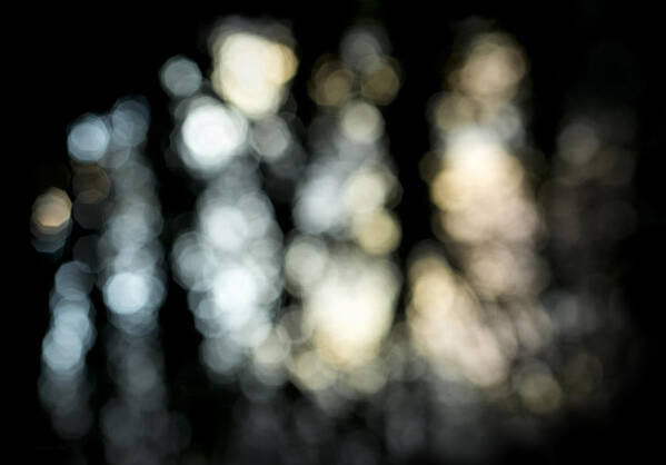 Layered Bokeh Poster featuring the photograph Dance of the Bokeh by Steven Poulton