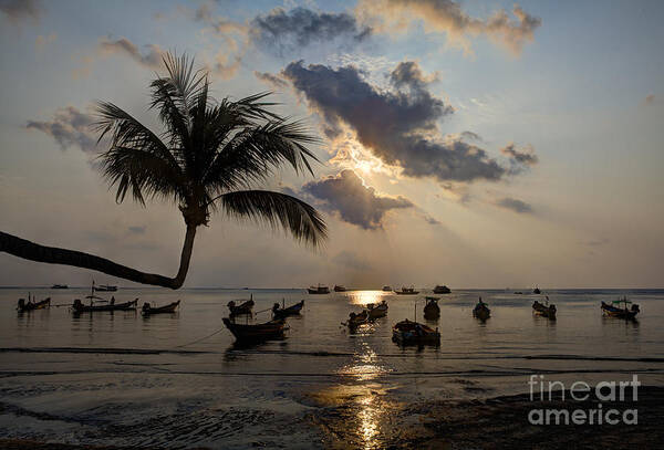 Landscape Poster featuring the photograph Koh Tao Sunset by Alex Dudley