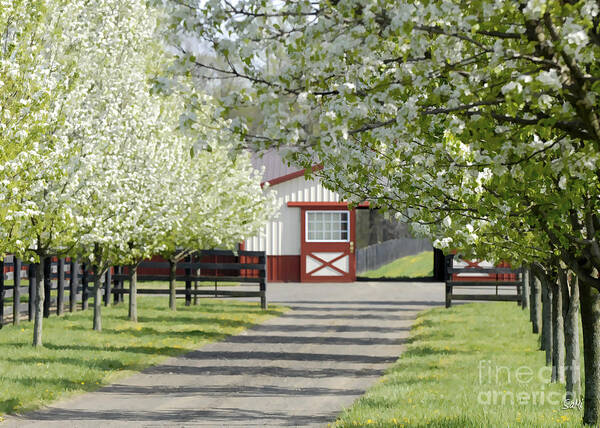 Landscape Poster featuring the photograph Spring time at the farm by Sami Martin