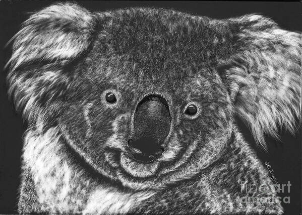 Koala Bear Poster featuring the drawing The Bear from Down Under by Lora Duguay