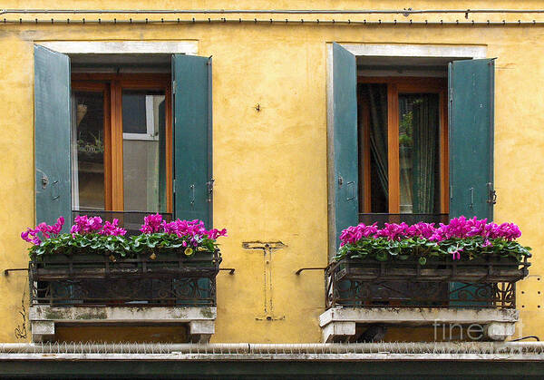 Venice Poster featuring the photograph Venice Italy Teal Shutters by Robyn Saunders