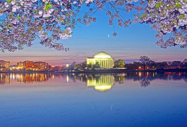 Cherry Blossoms Poster featuring the photograph Waning Crescent Cherry Blossom Moon by Steven Barrows