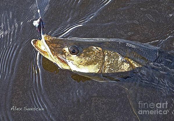 Bonefish Poster featuring the painting Snook Slider by Alex Suescun