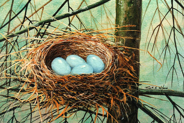 Wildlife Poster featuring the painting Blue Eggs In Nest by Frank Wilson