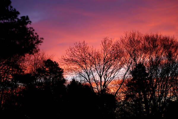 Sunrise Poster featuring the photograph Early Riser by Trudi Southerland