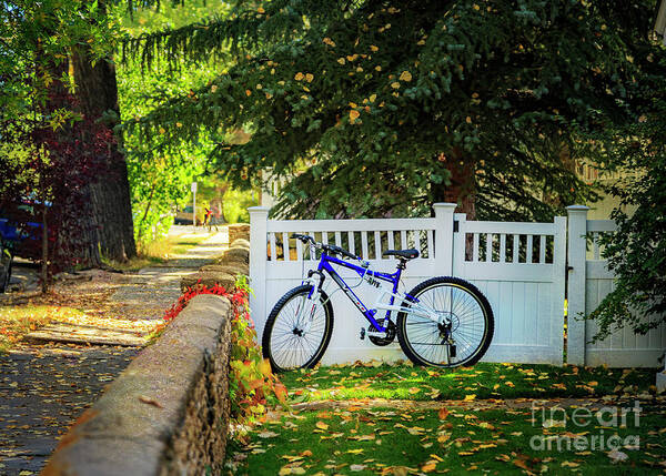 Wyoming Poster featuring the photograph Fall Bicycle of Laramie by Craig J Satterlee