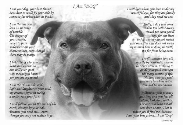Quote Poster featuring the photograph I Am DOG by Sue Long