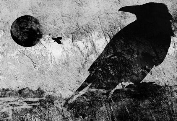 Ravens Poster featuring the digital art Raven Watching black and white by Sandra Selle Rodriguez