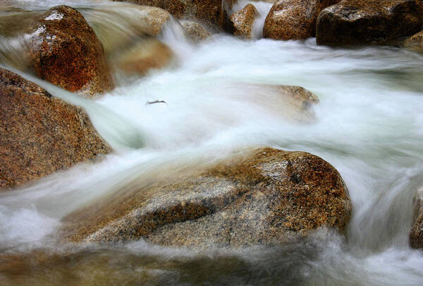 Waterfall Poster featuring the photograph Shannon Falls by Barbara White