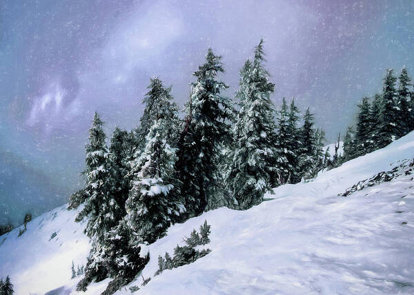 Snowbird Poster featuring the photograph Hidden Peak by Jim Hill