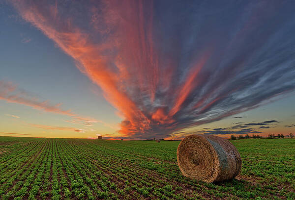 Bales Poster featuring the photograph Alfalfa Bale at ND sunset #2 by Peter Herman
