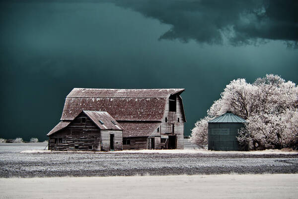 Blackmore Poster featuring the photograph Blackmore Barn - Infrared Series - 1 of 3 by Peter Herman