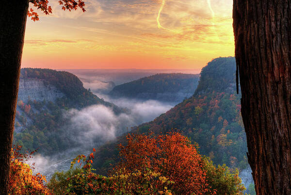 Letchworth State Park Poster featuring the photograph Foggy Sunrise Over Letchworth State Park In New York by Jim Vallee