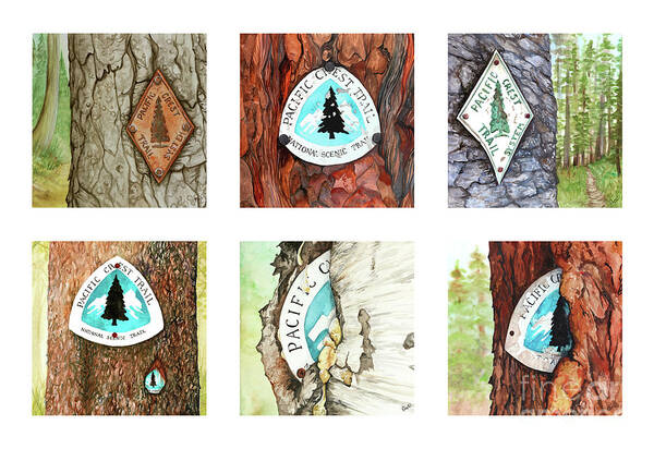 Pct Poster featuring the painting PCT Trail Blaze Collection by Elizabeth Mordensky