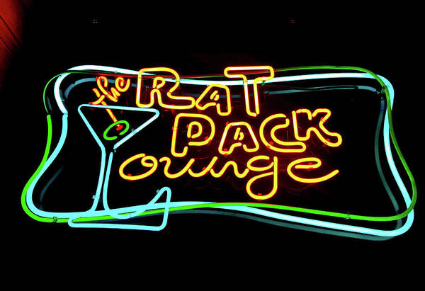 Rat Poster featuring the photograph Rat Pack Lounge by Matthew Bamberg