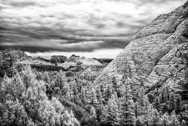 Ca Poster featuring the photograph South Guardian Angel, Zion National Park by Eugene Nikiforov