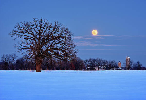 Moon Poster featuring the photograph The Winter Blues - Wolf Moonrise with Lone Oak and WI Dairy Farm by Peter Herman